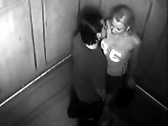 A pair bang in the elevator while the security camera films