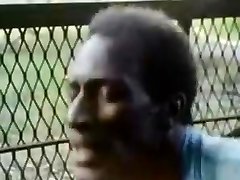 Foxy chick 1977 Foxy chick 1977