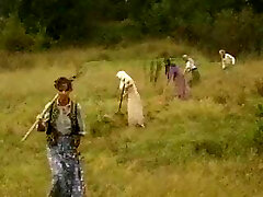 FA Randy Land Dolls !