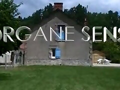 morgan bpe шальопы