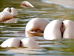 Videoclip - Scorching Asses 4