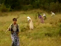 FA Randy Land Dolls ! FA Randy Land Dolls !