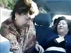 La nonna gli asiatici in autobus