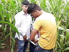 Indian Pooja Ladyboy Boyfrends Took A New Mates To Pooja Corn Field Today And Three Frends Had A Lot Of Fun In Fuck-a-thon