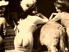 Tarts from 20th century teasing with booties in vintage compilation