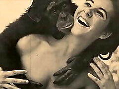 Dark Lantern Entertainment presents Dark Lantern Entertainment presents