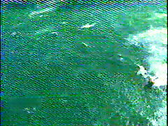 Naught all girl nymphos with juicy pussies have steamy 69 session Naught all girl nymphos with juicy pussies have steamy 69 session