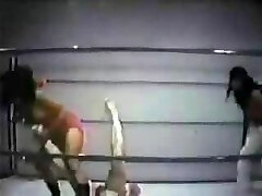 Antique Mixed Pro Wrestling Beatdown 2 with Vino