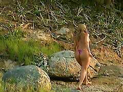 Samba - The Brazilian Connection Samba - The Brazilian Connection