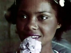 Bubble Gum Honey Bubble Gum Honey