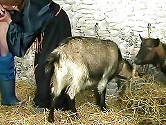 deutsch retro filme amateure die echten romp vor der Kamera deutsch retro filme amateure die echten romp vor der Kamera