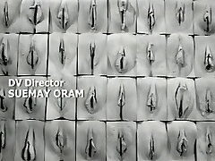 The Perfect Vagina The Perfect Vagina