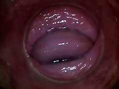 PJGIRLS - Camera deep inside Paula Shy's vagina (Total HD Pussy Web Cam)