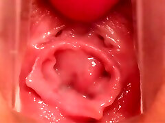 Pregnant Pussy - The Inside Look Pregnant Pussy - The Inside Look