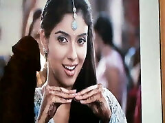 omaggio al asin - attrice indiana