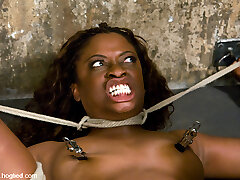 Monique in Hogtied Welcome Magnificent Milf Monique For Her First Hardcore Bondage Experience. - HogTied