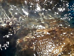 cazzo in piscina cazzo in piscina