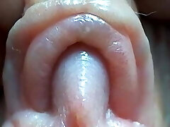 clitoride primo piano clitoride primo piano