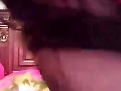 shams piegato bahary shams piegato bahary