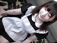 asiatico angelo - 14904 asiatico angelo - 14904