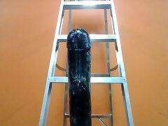 Playing with The Black Destroyer .. so big I needed a ladder