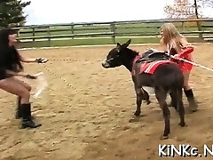 Dominant-bitch smothers slave and tortures with electricity