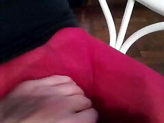 lento cespuglio peloso micio lento cespuglio peloso micio