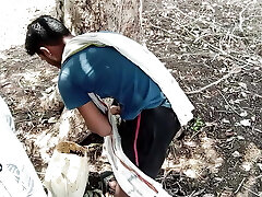 Indian, Today it's was joy under the Woods jamun tree. Indian, Today it's was joy under the Woods jamun tree.