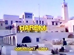 Harem - Partie 1