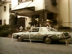 Immensely kinky and horny white babe loved to get fucked Immensely kinky and horny white babe loved to get fucked