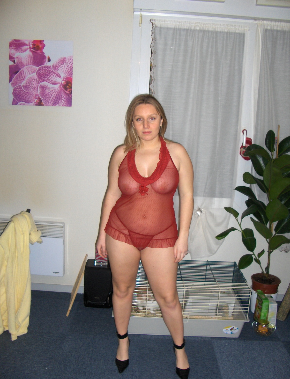 fat wife lingerie pics