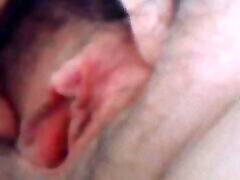 hairy pussy