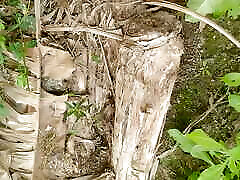 Nature Sex.. pure guerra with Banana Tree. PART....5