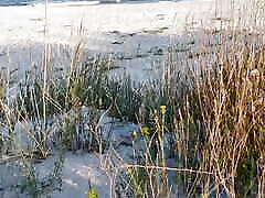 Couple Caught on Camera Having wwwbangla xxx 3g on the Beach
