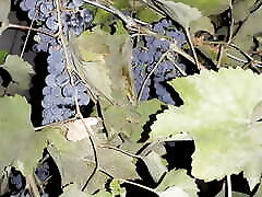 My neighbor thanked me for the grapes with winter sxe mom video - Lesbian-illusion
