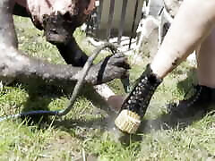 Lick all the sludge and dirt from Our feet