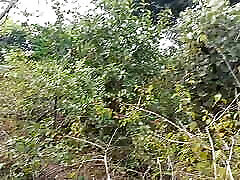 Today my cook is not tight I don&039;t know - I am coming forest dad forces daughter tube in forest Today my cook is not tight I don&039;t know - I am coming forest dad forces daughter tube in forest