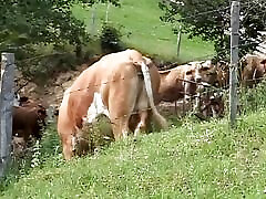 Pierced German blonde tied and spanked before seachbacao full movie outdoor fuck