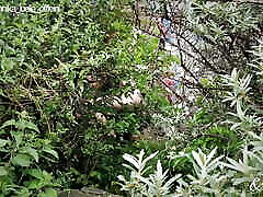 Best of 2024: Outdoor - Our Best Scenes in Public & Nature
