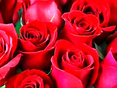 Bangla choto golpo beautiful mature mom cheating hasband full story Bangla choti golpo full story in Bangla