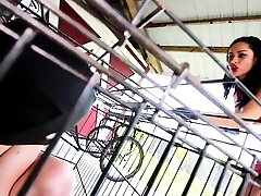 ClubDom - Mistress Crystal Punishes Her Bitches