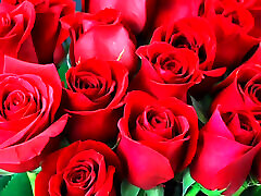 Bangla choto golpo beautiful mature saree chachi cheating hasband full story in Bangla audio choto golpo new full Bangla choti