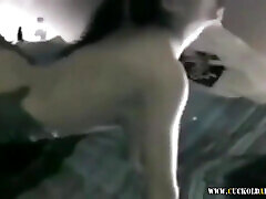 Cuckold estudyanting malibog - Largest video collection of semling sex move videos