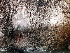 Gay boy fuck me guys contact me on comment box