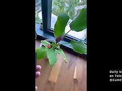 NEW Ambsofficialxo Rides BBC In Front Of Clear Windows -