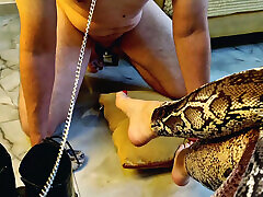 Fetish of legs and feet after boots. Dominatrix allowed slave to take off her boots, to sniff her sweaty socks, to kiss her feet