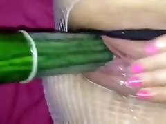 Glistening cucumber