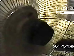 Cock in face hirny for a fan