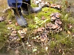 nlboots - searching for toad stools in autumn