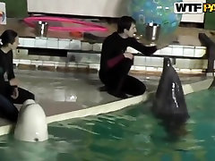 Cute and korean and amrican brunette huge bellend cock Natasha is getting seduced by her workmate at dolphinarium for naughty fuck.
